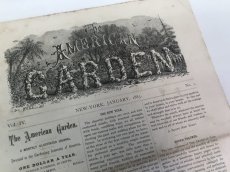 画像3: 1883年　THE AMERICAN GARDEN 農業系雑誌 (3)