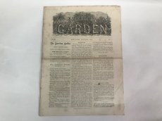 画像1: 1883年　THE AMERICAN GARDEN 農業系雑誌 (1)