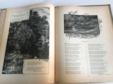 画像10: 1894年　アンティーク BOOK GEMS POETS (10)
