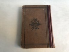 画像3: 1879年 FIFTH ECLECTIC READER  アンティーク BOOK (3)