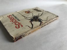 画像4: SPIDERS イラスト図鑑 (4)