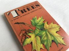 画像1: TREES イラスト図鑑 (1)