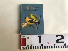 画像9: THE BLUE BOOK OF BIRDS OF AMERICA イラスト図鑑 (9)