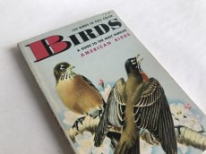 画像1: BIRDS イラスト図鑑 (1)