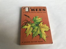 画像2: TREES イラスト図鑑 (2)