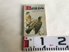 画像8: BIRDS イラスト図鑑 (8)