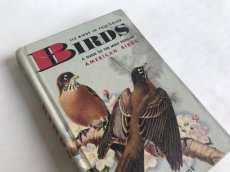 画像1: BIRDS イラスト図鑑 (1)
