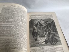 画像8: 1881年 THE GROWING WORLD  分厚いアンティーク BOOK (8)