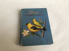 画像2: THE BLUE BOOK OF BIRDS OF AMERICA イラスト図鑑 (2)