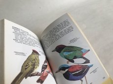 画像6: FAMILIES OF BIRDS イラスト図鑑 (6)