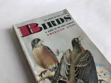 画像1: BIRDS イラスト図鑑 (1)