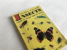 画像1: INSECTS イラスト図鑑 (1)