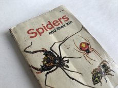 画像1: SPIDERS イラスト図鑑 (1)