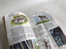 画像5: SPIDERS イラスト図鑑 (5)