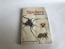 画像2: SPIDERS イラスト図鑑 (2)