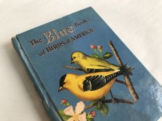 画像1: THE BLUE BOOK OF BIRDS OF AMERICA イラスト図鑑 (1)