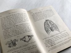 画像7: 1888年 アンティーク医学書 STELE'S SCIENCES HYGIENIC PHYSIOLOGY (7)