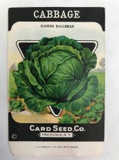 画像1: 1920年代 CABBAGE  SEED PACKAGE (1)