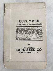 画像2: 1920年代 CUCUMBER  SEED PACKAGE (2)