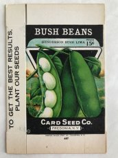 画像1: BOX 1920年代 BUSH BEANS  SEED PACKAGE  (1)
