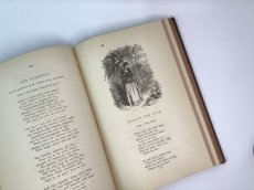 画像10: 1889年　挿絵と押し花の アンティーク洋書  (10)