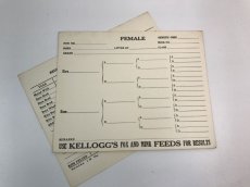 画像1: KELLOGG'S血統カード   (1)