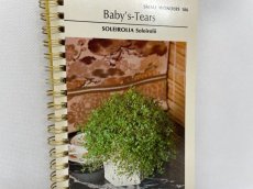画像1: UPCYCLE『Baby's-Tears』VINTAGE PLANTSCARD リングノート (1)