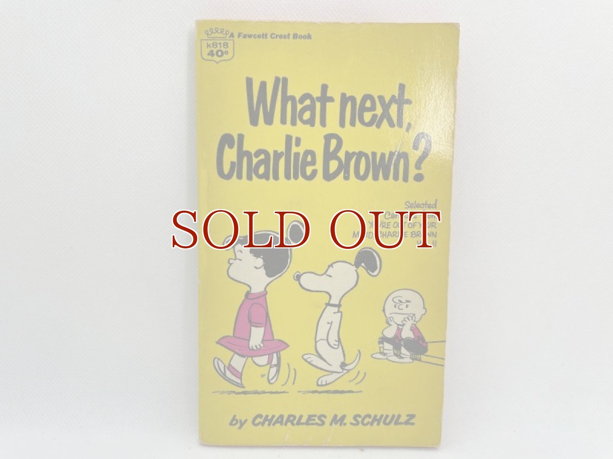 画像1: 1967年 What next Charlie Brown? SNOOPY   PEANUTS スヌーピー　ビンテージコミック  (1)