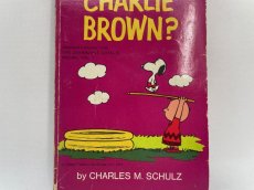 画像2: 1972年  WHAT NOW, CHARLIE BROWN?  SNOOPY   PEANUTS スヌーピー　ビンテージコミック  (2)