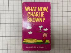 画像9: 1972年  WHAT NOW, CHARLIE BROWN?  SNOOPY   PEANUTS スヌーピー　ビンテージコミック  (9)