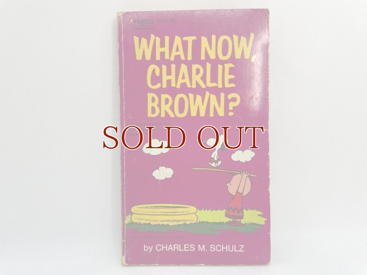 画像1: 1972年  WHAT NOW, CHARLIE BROWN?  SNOOPY   PEANUTS スヌーピー　ビンテージコミック  (1)