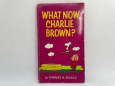 画像1: 1972年  WHAT NOW, CHARLIE BROWN?  SNOOPY   PEANUTS スヌーピー　ビンテージコミック  (1)