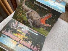 画像5: 1960年代 FLORIDA スーべニールカード　souvenir Postcard and Booklet (5)
