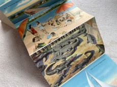 画像6: 1960年代 FLORIDA スーべニールカード　souvenir Postcard and Booklet (6)