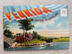 画像1: 1960年代 FLORIDA スーべニールカード　souvenir Postcard and Booklet (1)