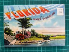 画像7: 1960年代 FLORIDA スーべニールカード　souvenir Postcard and Booklet (7)