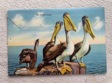 画像2: 1960年代 FLORIDA スーべニールカード　souvenir Postcard and Booklet (2)