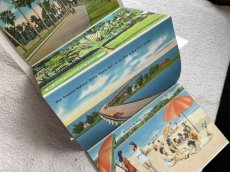 画像4: 1960年代 FLORIDA スーべニールカード　souvenir Postcard and Booklet (4)