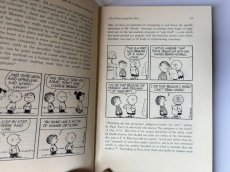 画像9: 1965年 THE GOSPEL ACCORDING TO PEANUTS スヌーピー　ビンテージコミック SNOOPY  PEANUTS (9)