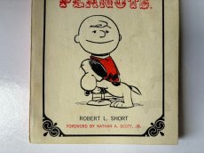 画像3: 1965年 THE GOSPEL ACCORDING TO PEANUTS スヌーピー　ビンテージコミック SNOOPY  PEANUTS (3)