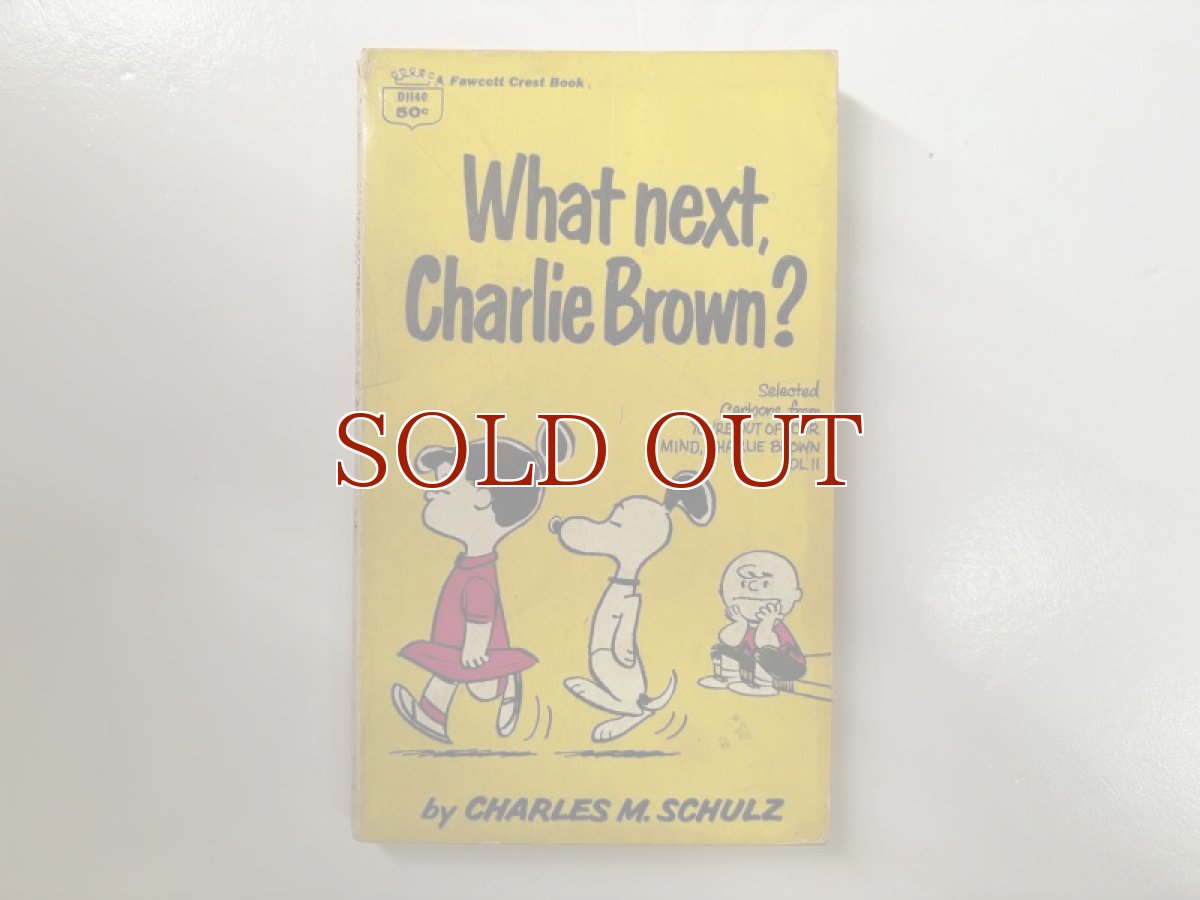 画像1: 1968年 WHAT NEXT, CHARLIE BROWN?  PEANUTS スヌーピー　ビンテージコミック  (1)