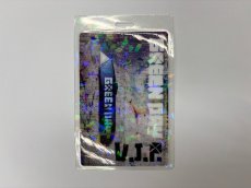 画像1: GREEN DAY ラミネート VIP PASS (1)