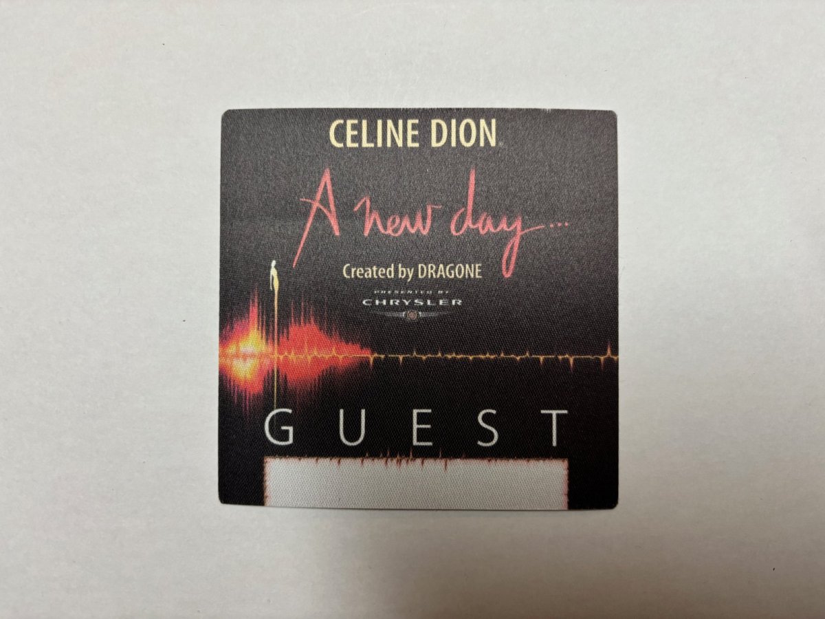 画像1: Celine Dion 2002年 A New Day Show (1)