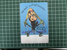 画像6: GUN'S'N'ROSES 1993年 The Perils of R&R Tour (6)