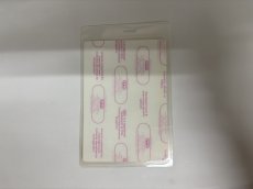 画像3: 大判 WOOD STOCK 1994年 ARTIST PASS (3)