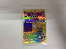 画像1: 大判 LOLLAPALOOZA 1994年 出演アーティスト Smashing Pumpkins,Green Day,Beastie boys etc... (1)