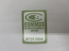 画像1: COMMON 2000年 Like Water for Chocolate Tour (1)