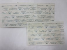 画像3: NINE INCH NAILS 1994年 Self Destruct Tour RARE!! UNCUT (3)