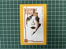 画像4: WIDESPREAD PANIC 1995年 Summer Tour  (4)