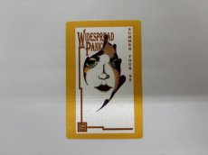 画像1: WIDESPREAD PANIC 1995年 Summer Tour  (1)